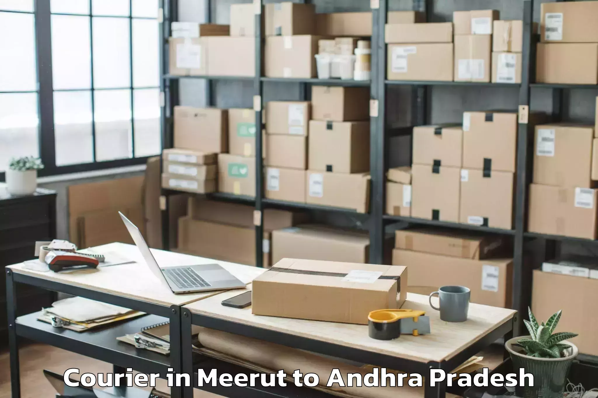 Quality Meerut to Podili Courier